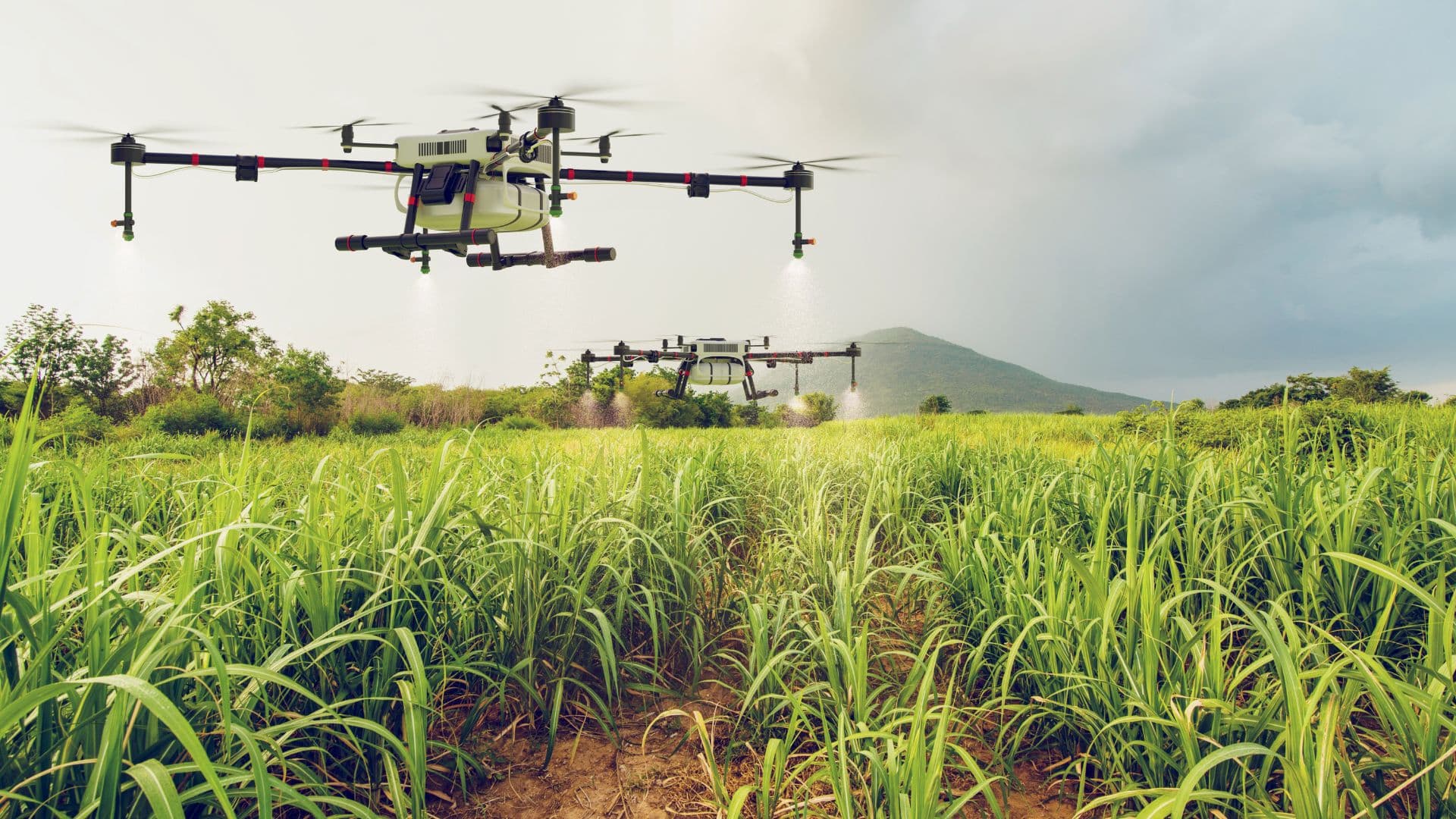 Tecnología en la agricultura